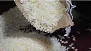 Cebu City residents to continue rice subsidy program, 60,000 families to get free rice