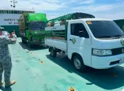 Cebu Returns 42 Hogs to Negros Oriental Under ASF Ban