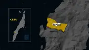 Cebu tightens border security after attempt to smuggle live hogs amid ASF ban